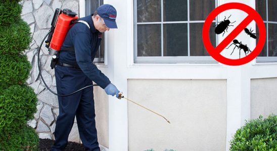 Pertek Gümüşkurt İlaçlama böcek ilaçlama ve haşere kontrolü — ilaclama-tr.com